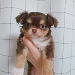 그냥...자랑하고싶어요