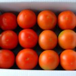 [NCT즌] <b>싱싱</b>한 토마토 6kg 20000원