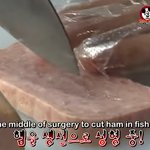 [NCT] ㅅㄷ)미마클 햄초밥 손<b>민수</b>했다