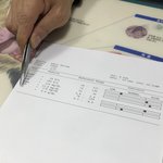 [고양이] [부산동물병원오진후기] 저는 사랑하는 제 동생을 잃었습니다