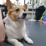 몽<b>룡</b>아 너네 형 보고싶다