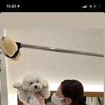 [드루와] 정<b>채연</b> 몸매봐..