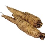 [더보이즈] 우리 만약에 <b>더덕이</b>였으면