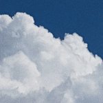 [ㅈㄱㄴ] mbti S/N 차이 극복이 제일 힘든듯