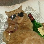 [추반] 고3 국어 기출 검더텅/자이/마닳 골라줘