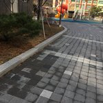 나 고양이 짝짓기하는 거 첨 봐