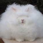 <b>귀칼</b> 극장판보고온 애들있냐?
