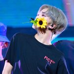 [NCT즌] 햇쨔니 레전드 직캠 추천좀해죠
