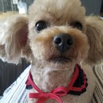 [이것좀봐줘] 안녕하세요 박은석의 <b>사촌</b> 누나입니다