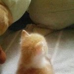 [드루와] 빅힛이랑 <b>와이지플러스</b> 정리