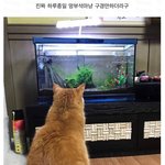 [NCT즌] 툥블 보니까 생각난건데