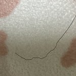 <b>지퍼</b>에 머리카락 꼈는데