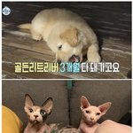 [드루와] <b>로건</b>리 ㅈㄴ 얼탱이없네