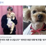 박은석 강아지 ㅈㄴ 예쁘다