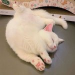 [19] 애들아 우리학원 진도 느린지 빠른지 추반좀