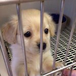 내 친구 <b>현썸남</b>이 나 좋아해서 고백까지했는데