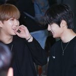 [스키즈] <b>소중</b>한 스테이들아