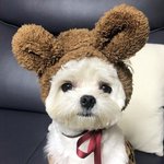 [드루와] 카페<b>라떼</b> 우유많이 써 본 애들앗