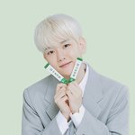 백현 이 사진