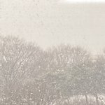 <b>눈</b> <b>개</b>많이 온다
