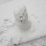 ㄷㅂ피길래 참교육 했다 인증할게