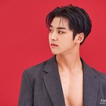 [펜타곤] 홍시 정글의<b>법칙</b> ㅎㅅㅇ배우분이랑