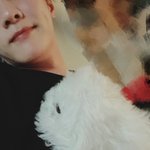 이거 <b>누</b>궁지 아는사람