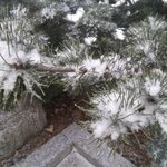 [낚시] 1월28일^^ 낚시 다녀왔읍니다.~