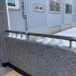 내 눈<b>오리</b> 보고가줘