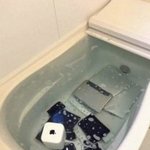 냄새 안 나는 <b>연초</b>는 없겠지?