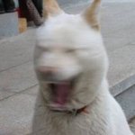 [아이콘] 얘들아 이거 봤니