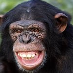 [NCT] <b>성쇼</b> 보는 나