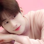 [빅톤] 한승우 블랑풀