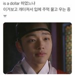 진짜 개충격 하