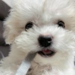 내 과거 조카 더럽고 <b>수치</b>스러움