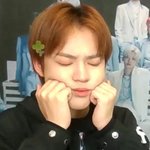 [NCT즌] 천프아닌데도