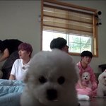 나비효과 <b>입문</b> 1개월 안에 끝내기 ㄱㄴ?