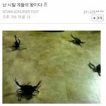 [진격의거인] 미치겠다 이 사람 에렌이냐고
