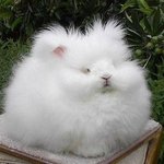[드루와] <b>사진용</b>으로 아이폰6s 중고구매할건데
