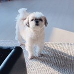 [더보이즈] 다<b>롱이</b> 진짜 왤케 귀엽냐