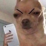 시그노 <b>노크</b>형 쓰는애들 다 와바ㅠㅠ