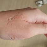 [댓글부탁해] <b>에렌</b> 얘는 ㅅㅂ 거인화 어떻게 한거임