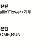 [세븐틴] ㅅㅓ가대 겨우 한대!