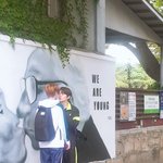 여 혹시 <b>더비</b>들아 이 사진 있는분 ㅈㅂ ㅠ