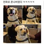 [댓글부탁해] 인스타 <b>해시</b>태그 뭐 적어?