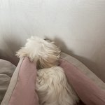 개명 이름 ㅈㅔ발 골라주세<b>yo</b>....