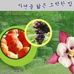 [댓글부탁해] 아 학교에서 <b>코딩</b> 배우는 애들 개부럽다