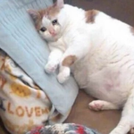 [사랑해] 21.01.30 졸려