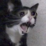 [드루와] 나 말랐는데 쇄골 잘 안보임