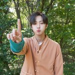 [펜타곤] 포레스트 펜타곤 <b>유툽</b>에 올라오면 좋겠어